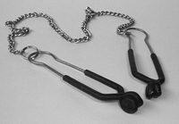 Nipple clamps black